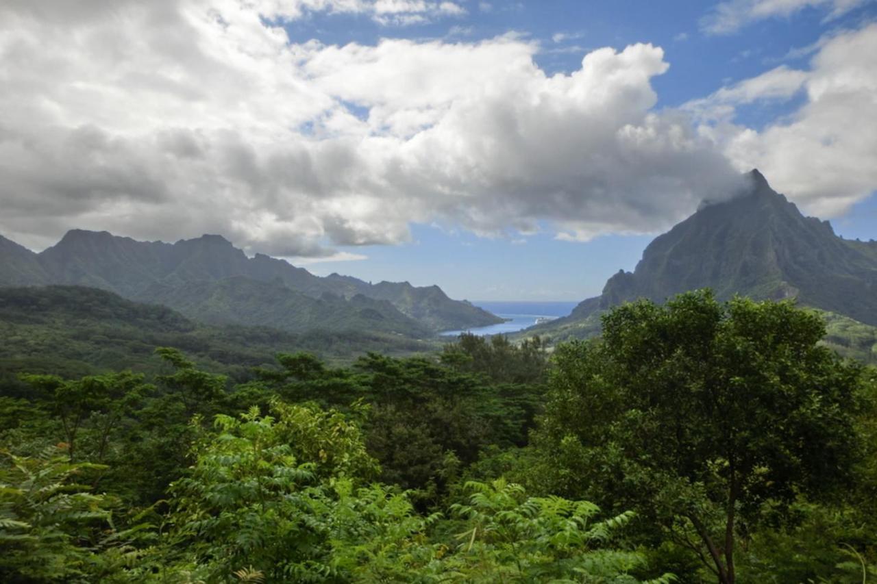 Auti Studio Direct Access To The Beach On Moorea With Ac -Wifi - Netflix Apartment Haapiti Bagian luar foto